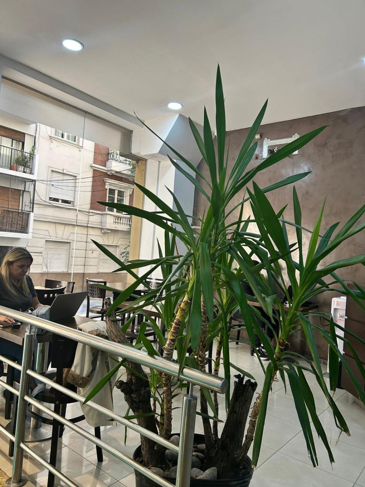 Hostel Che Ba Ciudad Autónoma de Ciudad Autónoma de Buenos Aires Exterior foto